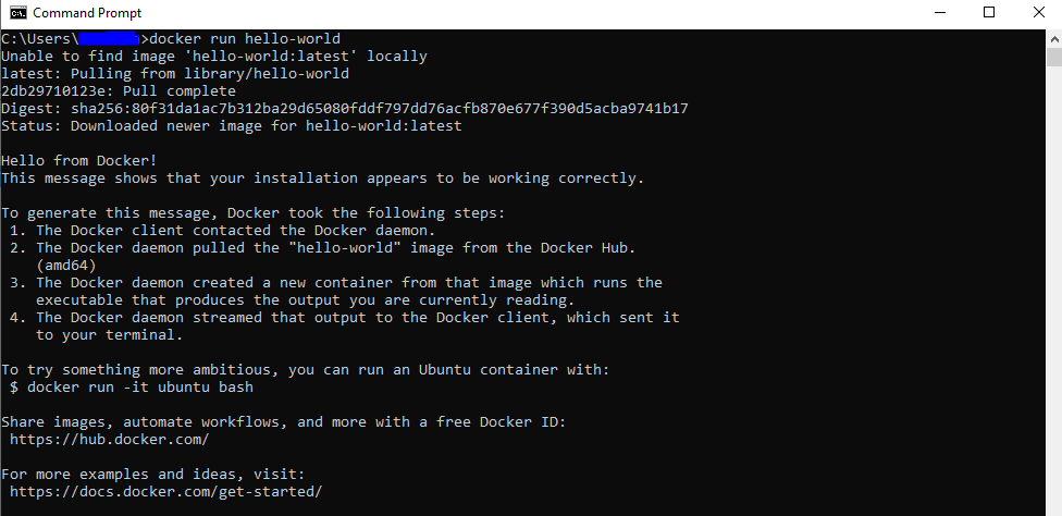 Run hello world docker image